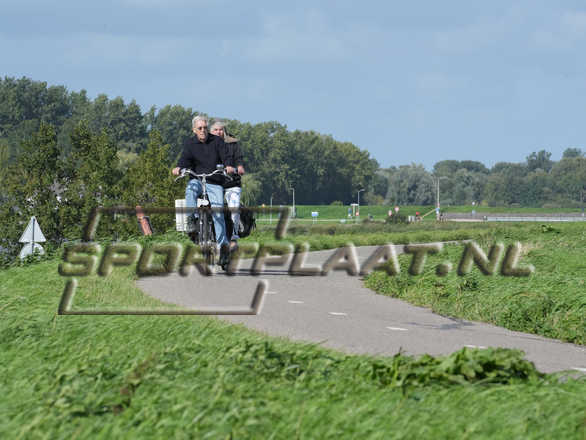 D7236.jpg
